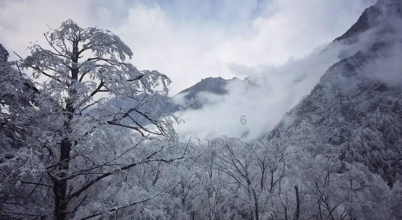 探讨天涯热点话题,尽在天冷了,吃什么菜驱寒呢?问答平台